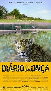 Watch Diário De Uma Onça
