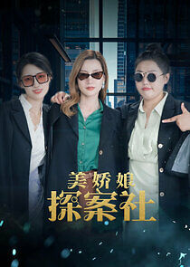 Watch The Beautiful Lady Detective Agency