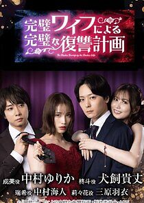 Watch The Flawless Revenge by the Flawless Wife