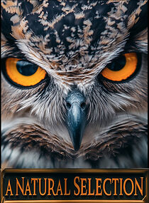 Watch A Natural Selection