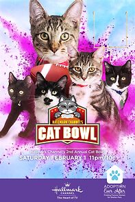 Watch Cat Bowl (TV Special 2019)
