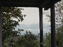 Watch Ludmila's Apple Pie (Short 2025)