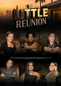 Watch The Little Reunion