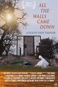Watch All the Walls Came Down (Short 2025)