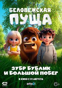 Watch Belovezhskaya pushcha. Zubr Bublik i bolshoy pobeg