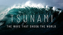 Watch Tsunami: The Wave That Shook the World (TV Special 2024)