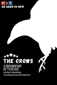 Watch The Crows