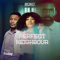 Watch Perfect Neighbour