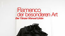 Watch Flamenco der besonderen Art - Der Tänzer Manuel Linan