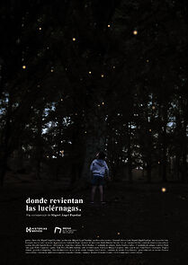 Watch Donde revientan las luciérnagas (Short 2024)