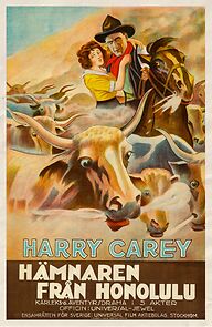 Watch The Outlaw and the Lady (Short 1917)