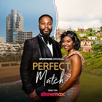 Watch Perfect Match