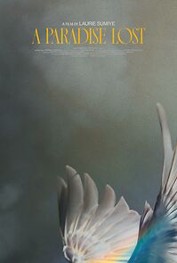 Watch A Paradise Lost