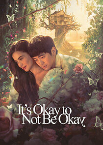 Watch It's Okay to Not Be Okay