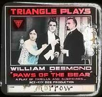 Watch Paws of the Bear