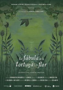 Watch La fábula de la tortuga y la flor