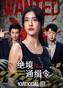 Watch Desperate Warrant