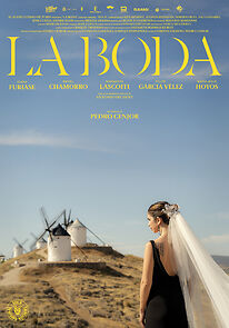 Watch La boda