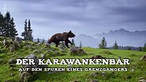 Watch Karawankenbär: Auf den Spuren eines Grenzgängers