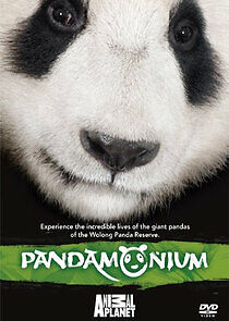 Watch Pandamonium