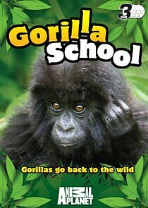 Watch Gorilla School