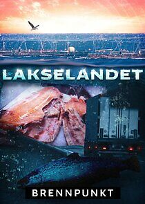 Watch Brennpunkt: Lakselandet