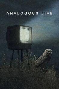 Watch Analogous Life