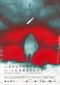 Watch La anatomía de los caballos