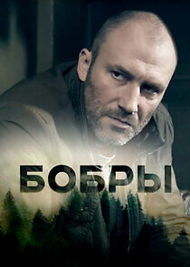 Watch Бобры