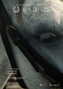 Watch Caballo blanco (Short 2023)
