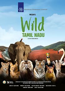 Watch Wild Tamil Nadu