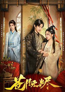 Watch Reborn from the Ashes