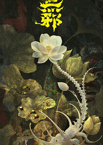 Watch The Lotus Secret