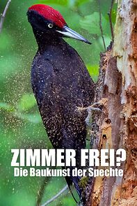 Watch Zimmer frei? Die Baukunst der Spechte