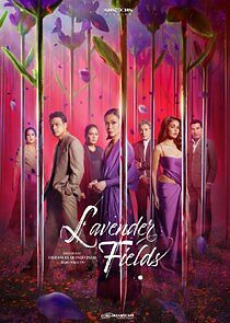Watch Lavender Fields