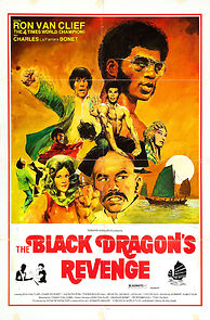 Watch The Black Dragon's Revenge