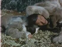 Watch L'homme et le géant (Short 1975)