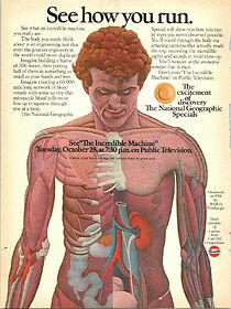 Watch The Incredible Machine