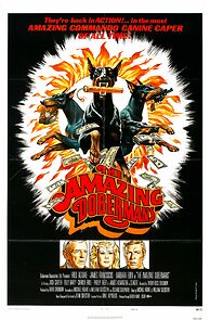 Watch The Amazing Dobermans