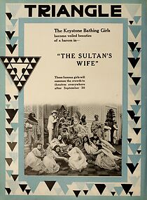 Watch The Sultan's Wife (Short 1917)