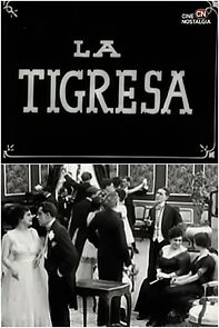 Watch La tigresa