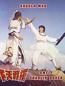 Watch Swift Shaolin Boxer