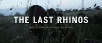 Watch The Last Rhinos (Short 2016)