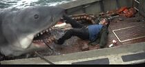 Watch Top 1 Shark Movies (Short 2013)