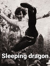 Watch Sleeping Dragon