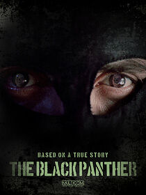 Watch The Black Panther