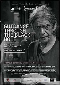 Watch Guidance through the Black Hole