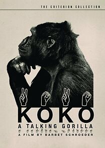 Watch Koko: A Talking Gorilla