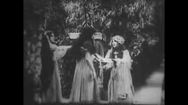 Watch Love Among the Roses (Short 1910)