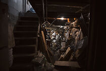 Watch Taxidermy is Goodbye (Short 2015)